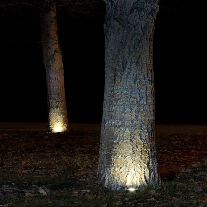 What are some good options to uplight trees and bushes?