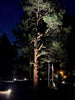 High Output LED Landscape Spotlight Questions & Answers